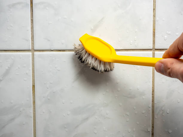 Mold Testing and Removal in Port Sulphur, LA