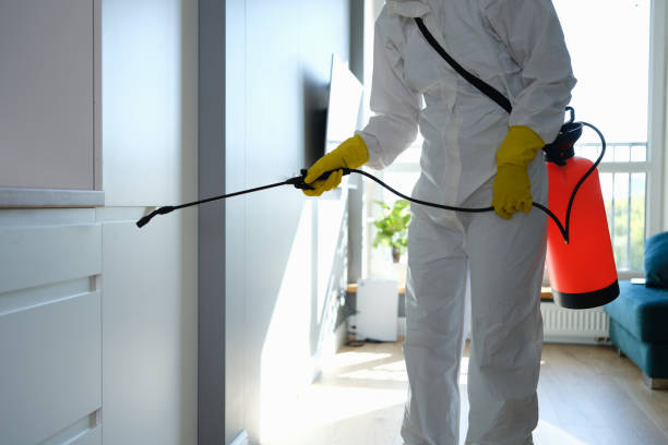 Best Mold Cleaning Services  in Port Sulphur, LA