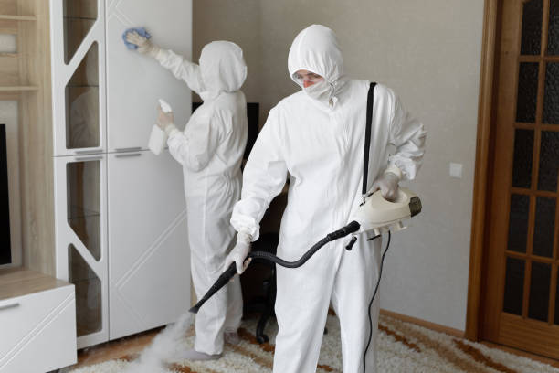Certified Mold Removal in Port Sulphur, LA