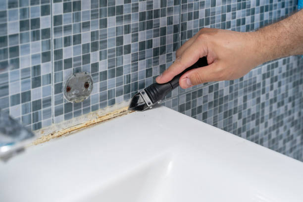 Best Certified Mold Removal  in Port Sulphur, LA
